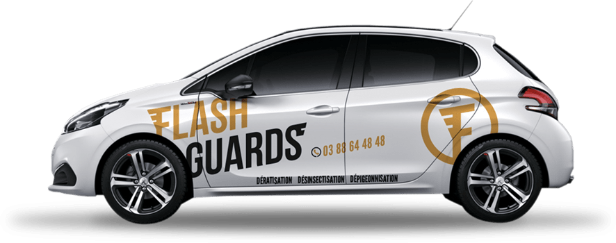 Voiture Flashguards